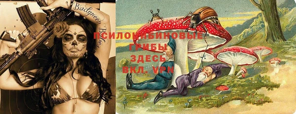 марки lsd Абаза