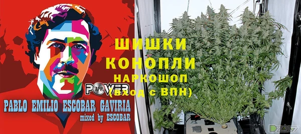 марки lsd Абаза