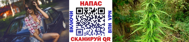 нарко площадка какой сайт  Луга  МАРИХУАНА гибрид 